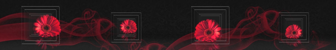 skinali 3311